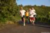 photo537_small.jpg