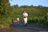 photo827_small.jpg