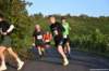 photo835_small.jpg