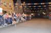 photo2100_small.jpg