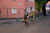 photo519_small.jpg