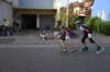 photo737_small.jpg