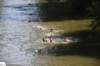 photo204_small.jpg