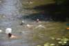 photo217_small.jpg