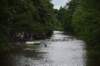 photo156_small.jpg