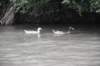 photo76_small.jpg