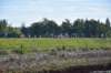 photo73_small.jpg