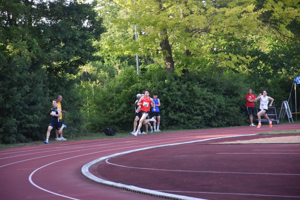photo42.jpg