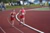 photo445_small.jpg