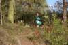 photo372_small.jpg
