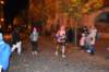 photo257_small.jpg