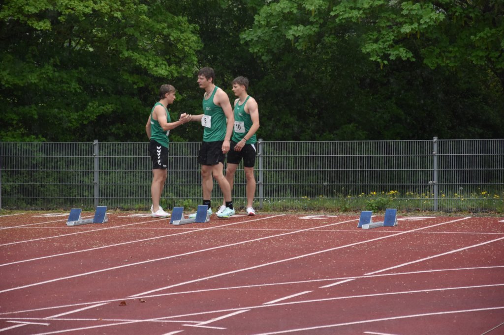 photo12.jpg