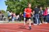 photo474_small.jpg